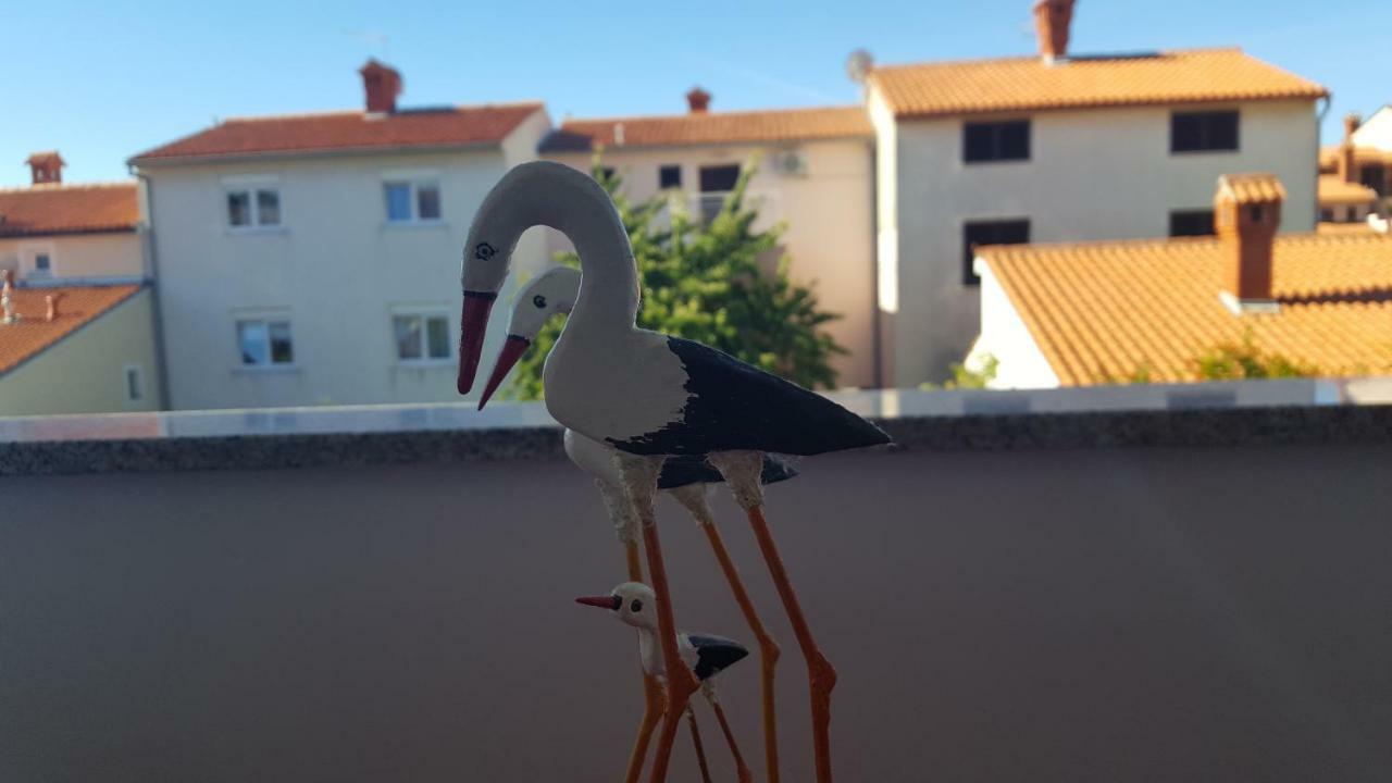 Bevanda Pula Buitenkant foto